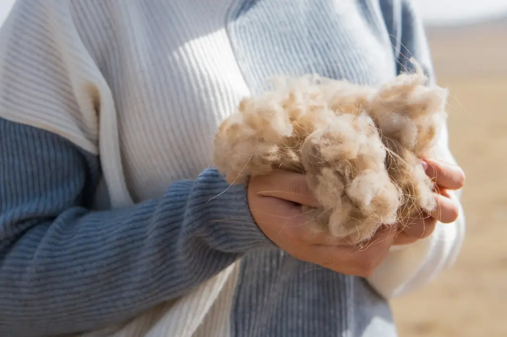 mongolian cashmere export center
