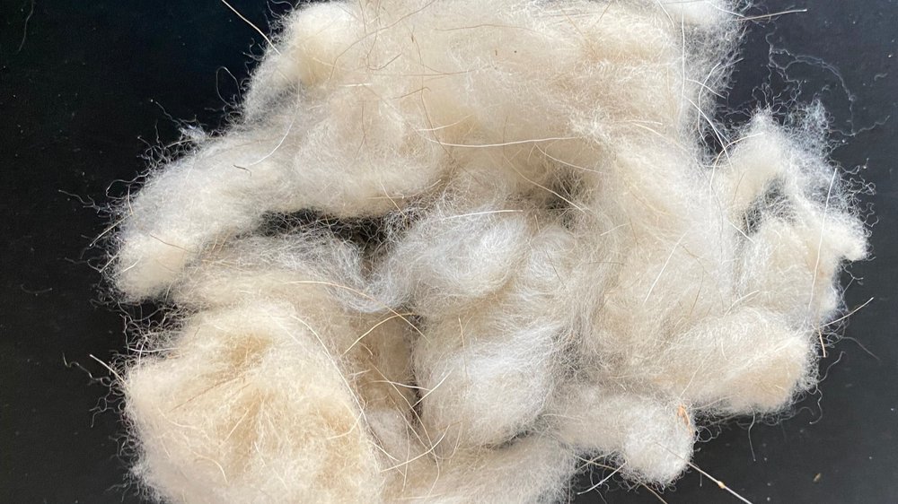 Raw Cashmere Sourcing